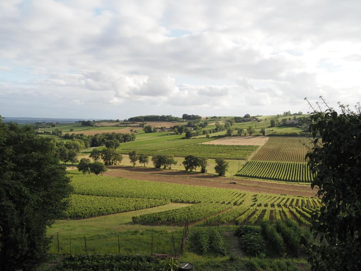 Le Mas De Doat, Gite De Charme 4 Etoiles Dans Le Triangle D Or Proche Gaillac Et Albi Senouillac Buitenkant foto
